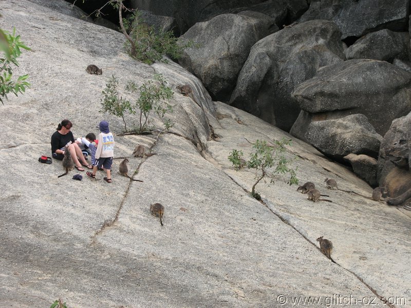 Cairns_041.JPG