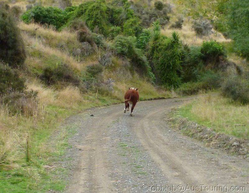 NZ_SI_2012_0043.JPG