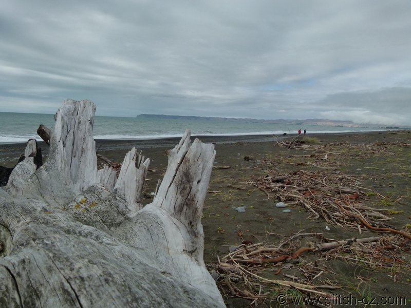 NZ_SI_2012_0075.JPG