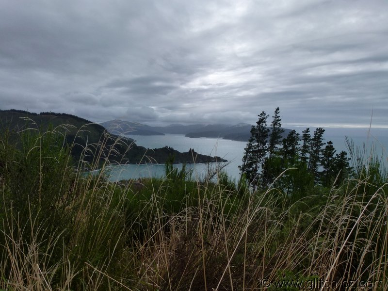 NZ_SI_2012_0080.JPG