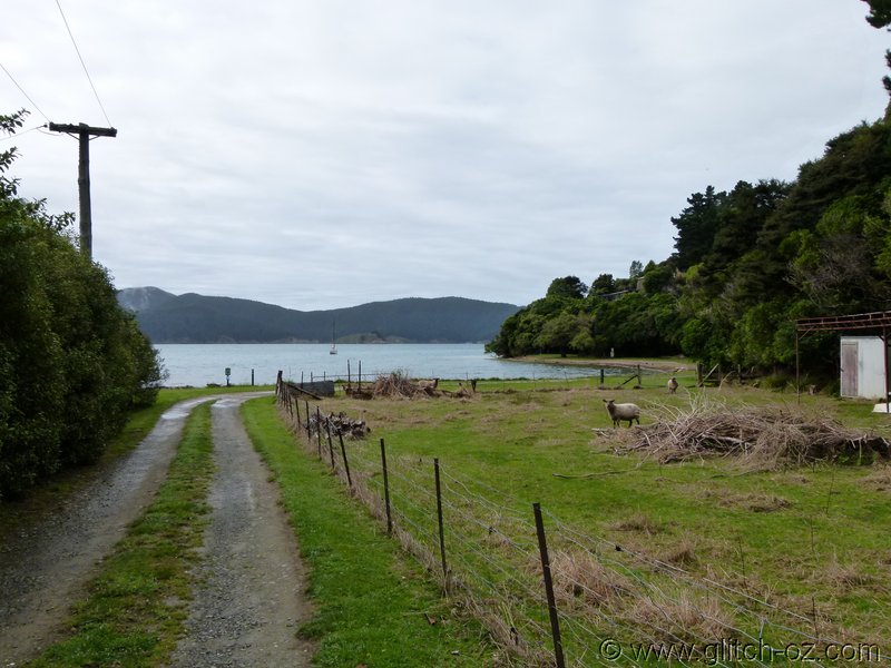 NZ_SI_2012_0090.JPG