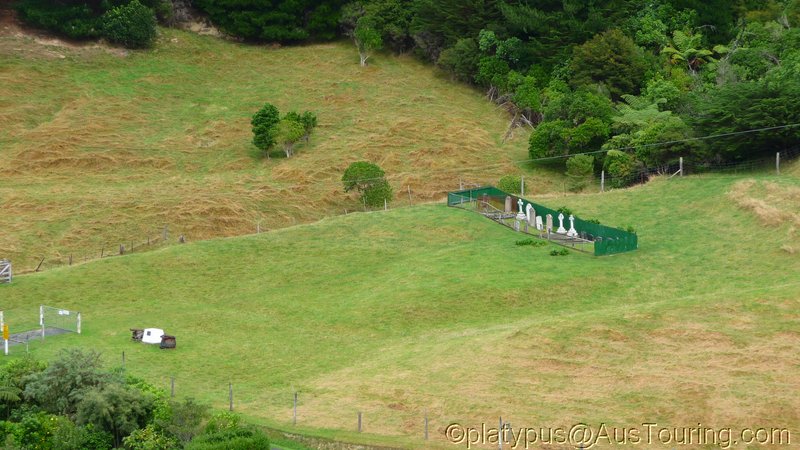 NZ_SI_2012_0095.JPG