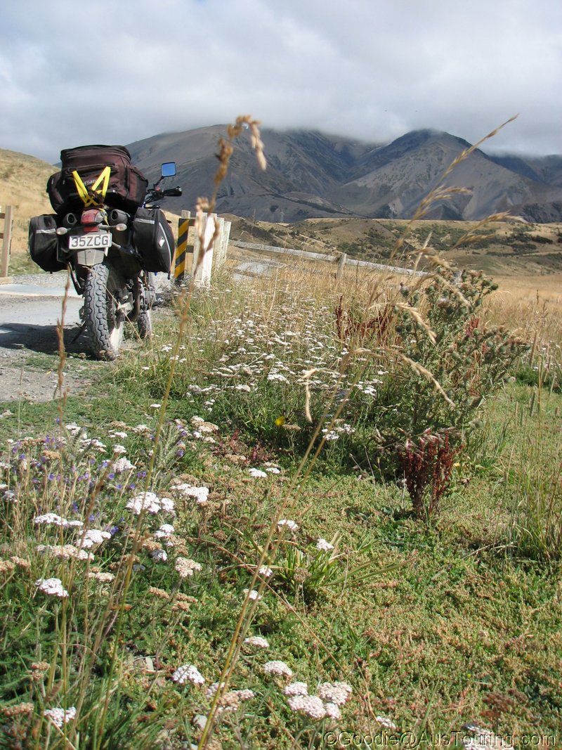 NZ_SI_2012_0172.JPG