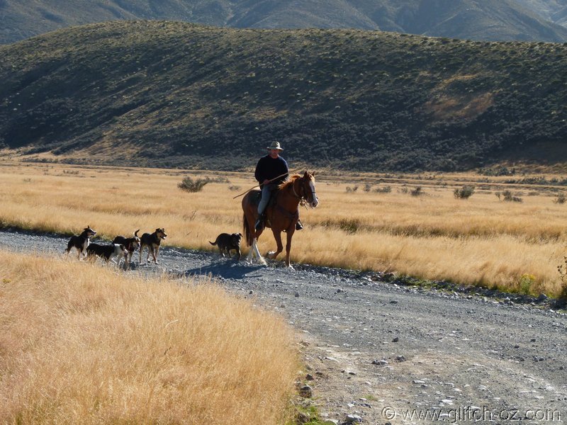 NZ_SI_2012_0259.JPG