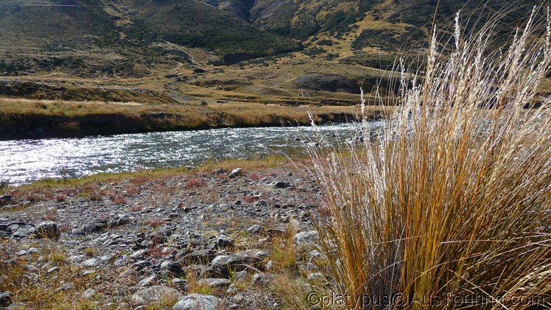 NZ_SI_2012_0264.JPG