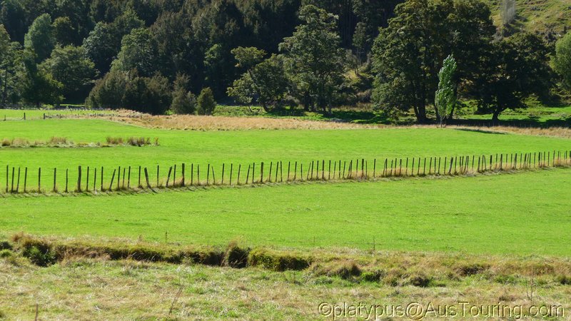 NZ_SI_2012_0351.JPG