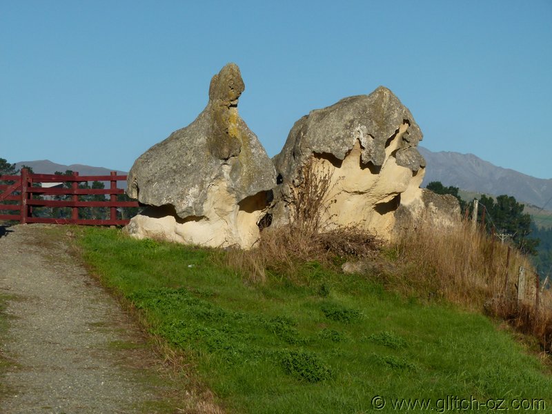 NZ_SI_2012_0481.JPG