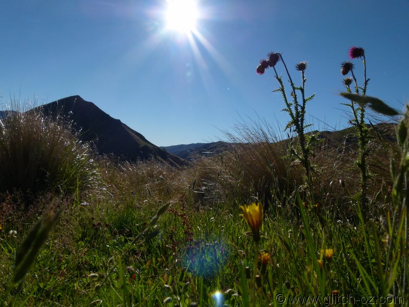 NZ_SI_2012_0494.JPG