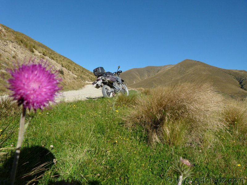 NZ_SI_2012_0495.JPG