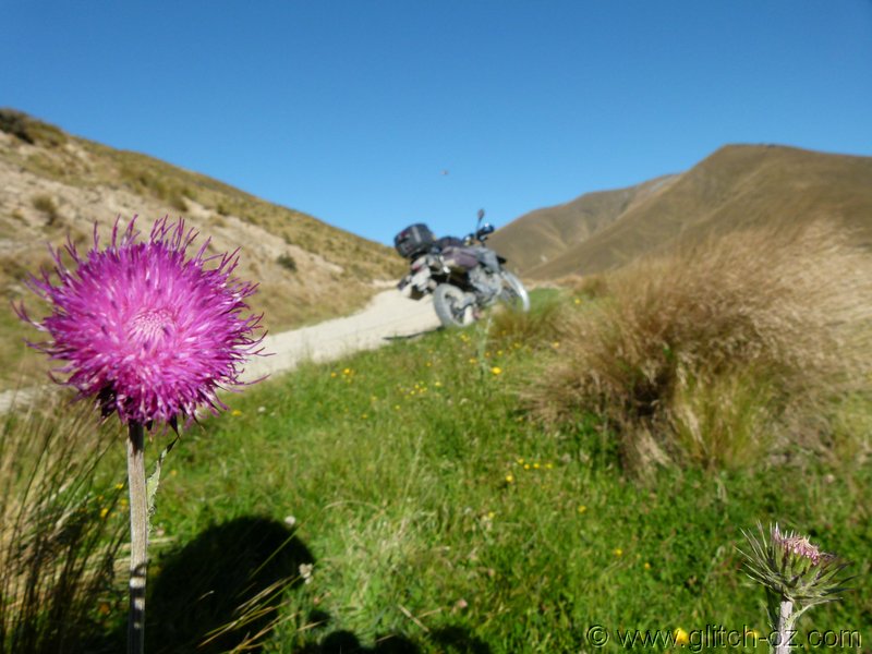 NZ_SI_2012_0496.JPG