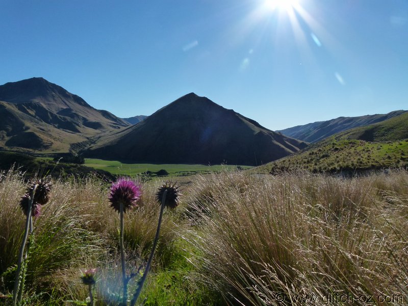 NZ_SI_2012_0501.JPG