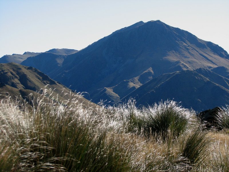 NZ_SI_2012_0502.JPG