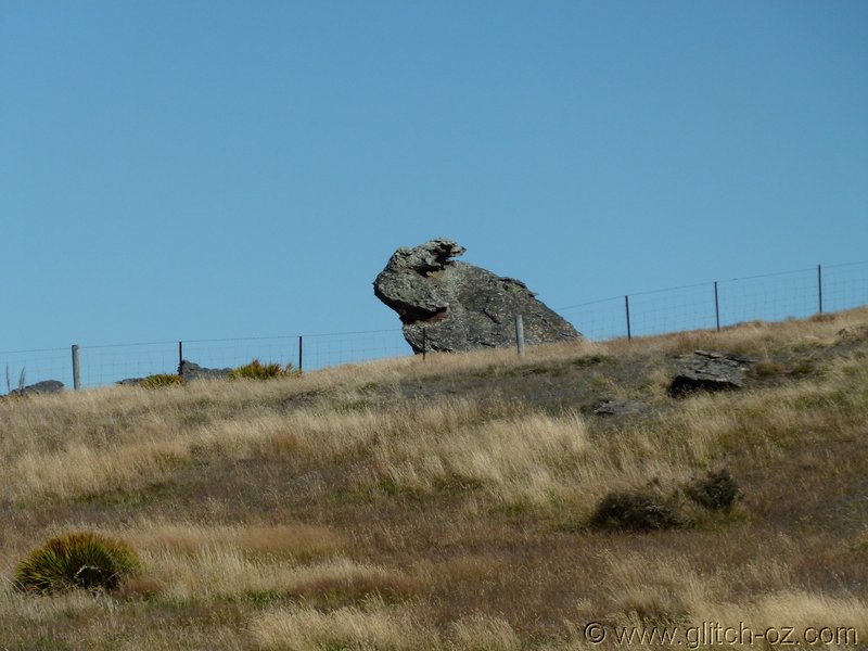 NZ_SI_2012_0540.JPG