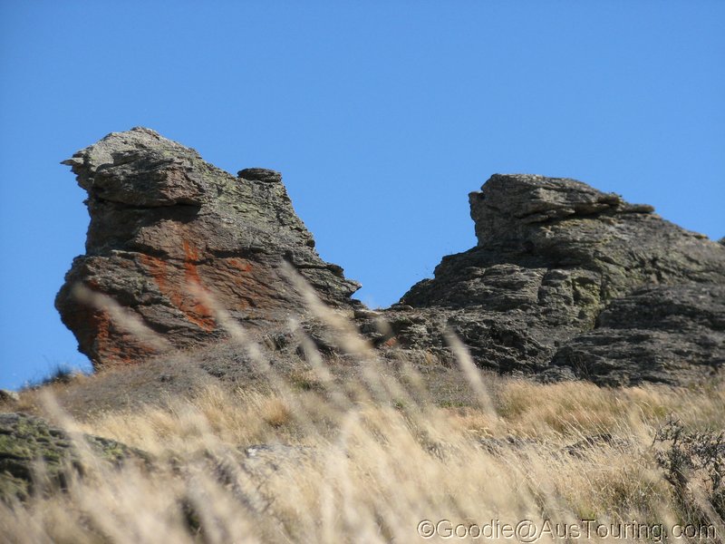 NZ_SI_2012_0542.JPG