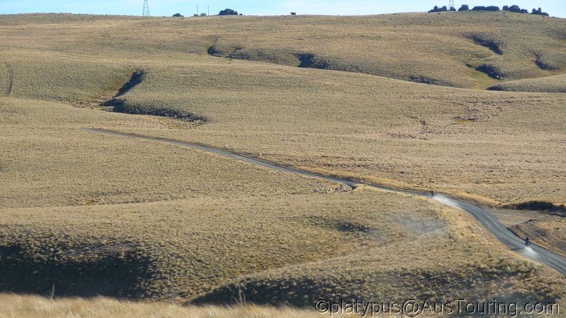 NZ_SI_2012_0581.JPG