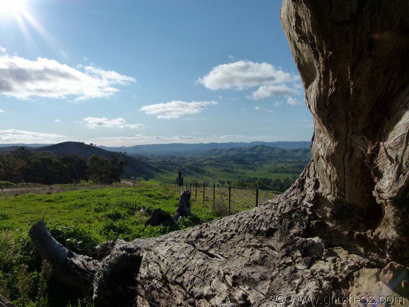 StrathCreek_014.JPG