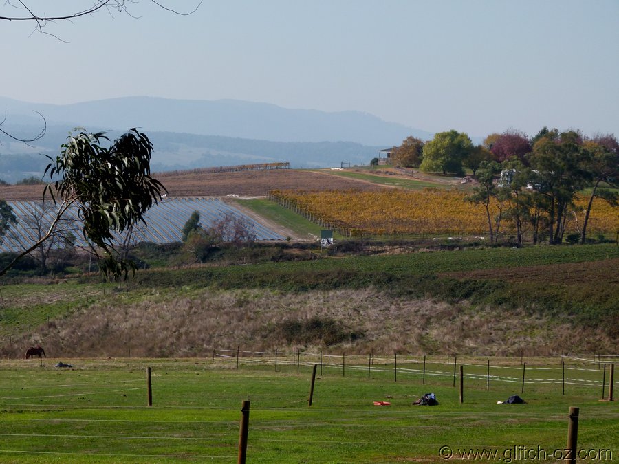 YarraValleyColour_012.JPG