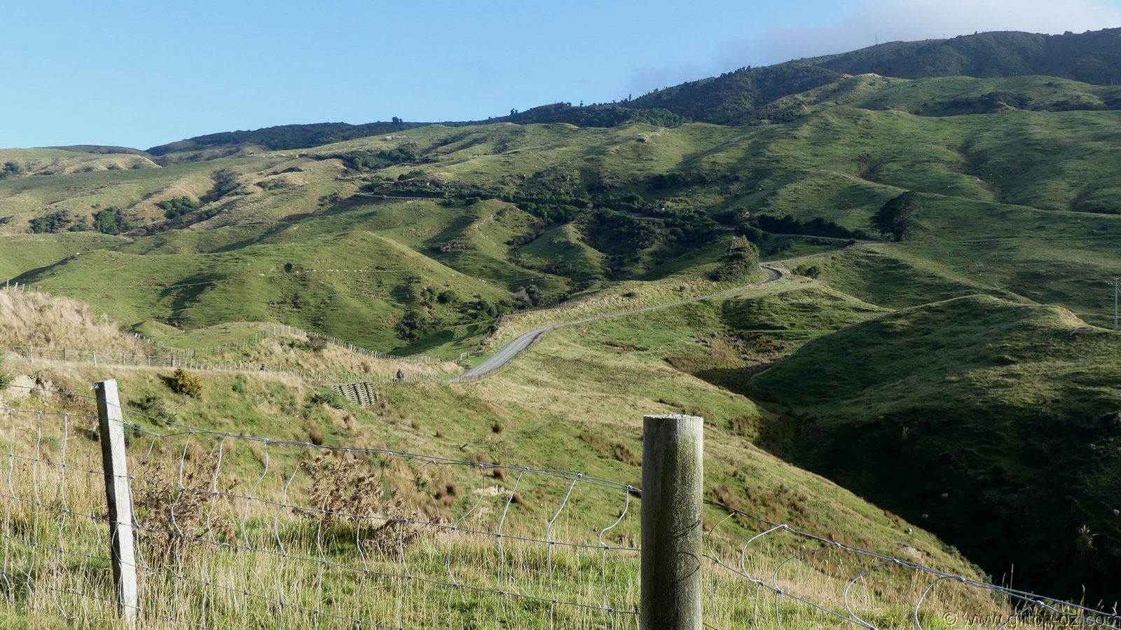 2019_Wairarapa_125.JPG