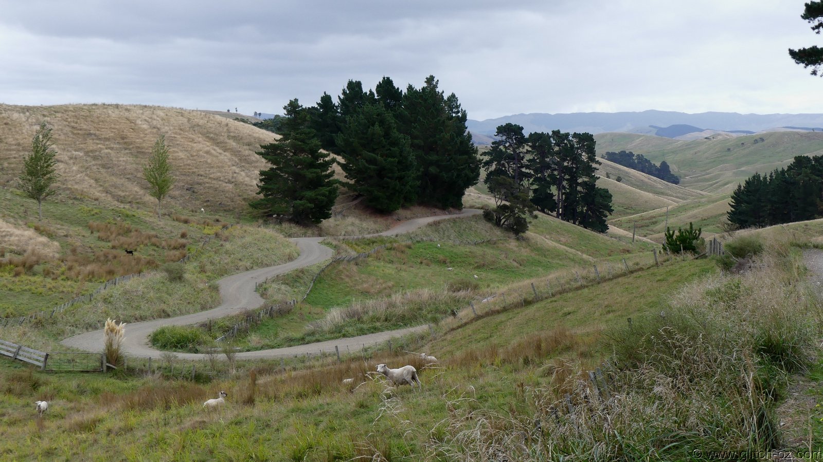 2019_Wairarapa_173.JPG