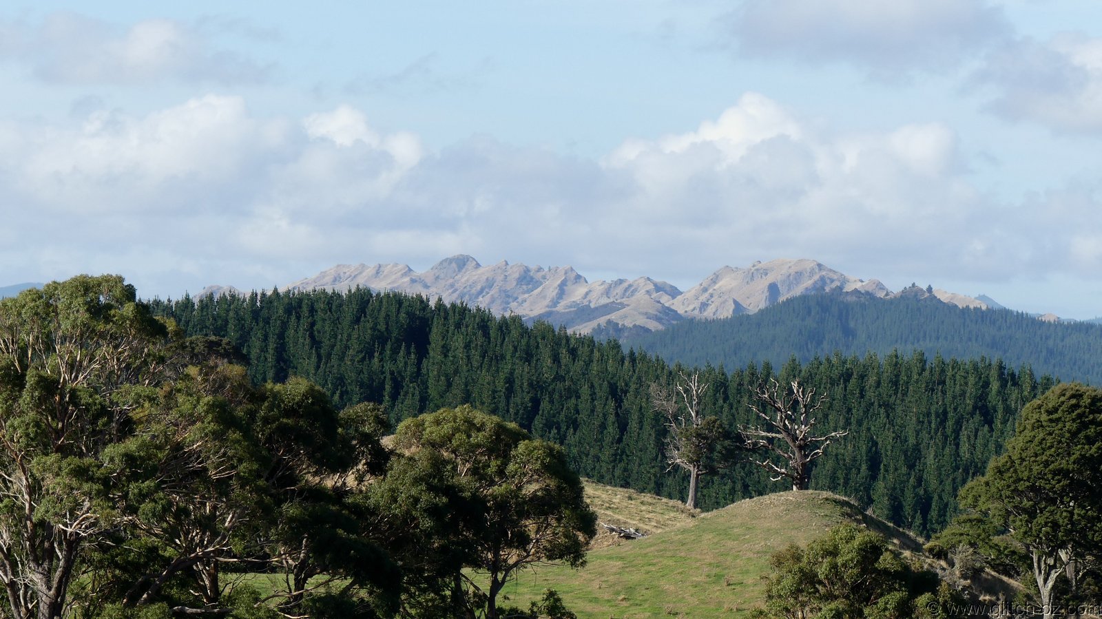 2019_Wairarapa_210.JPG