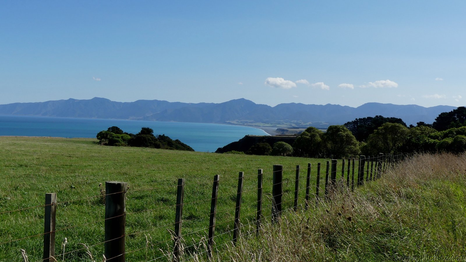 2019_Wairarapa_236.JPG