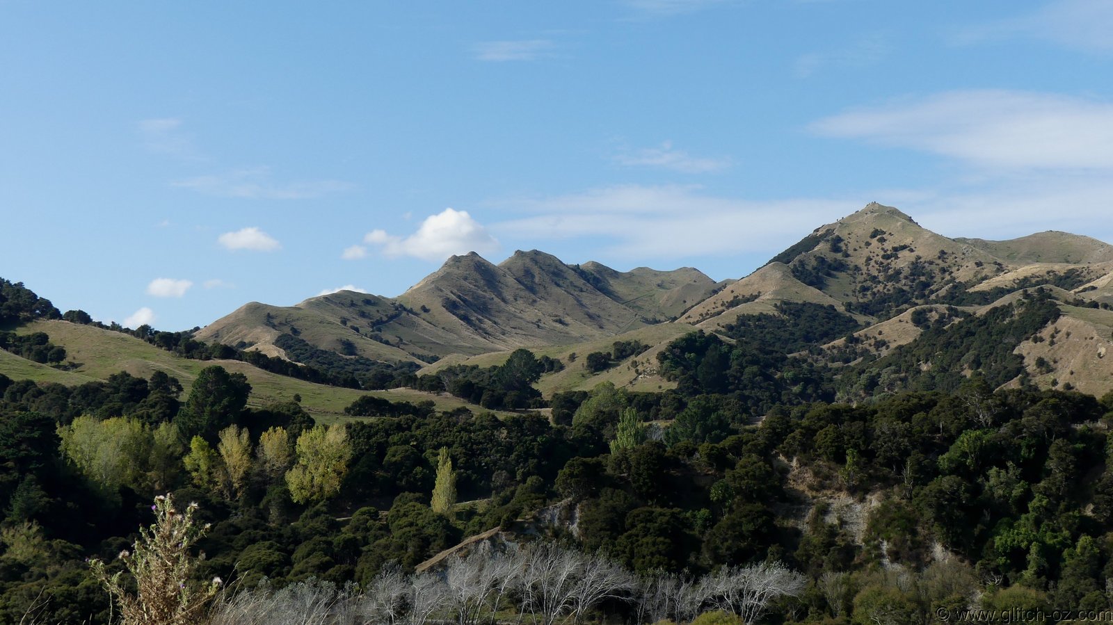 2019_Wairarapa_239.JPG