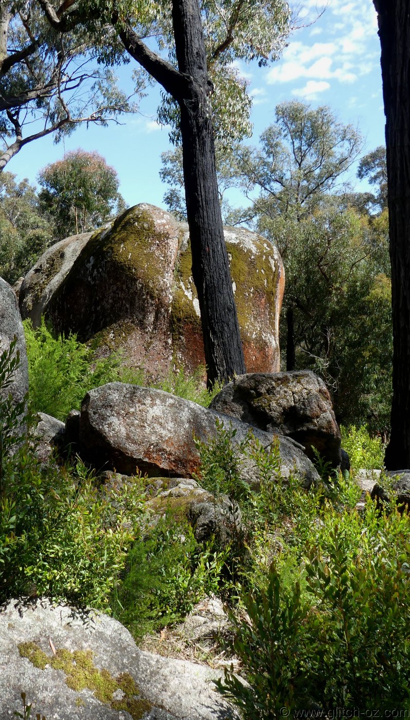Bunyip_006.JPG