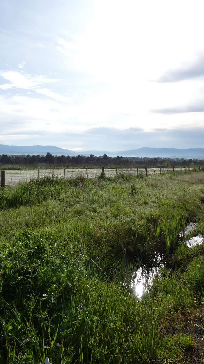 ToolangiNorth_001.JPG