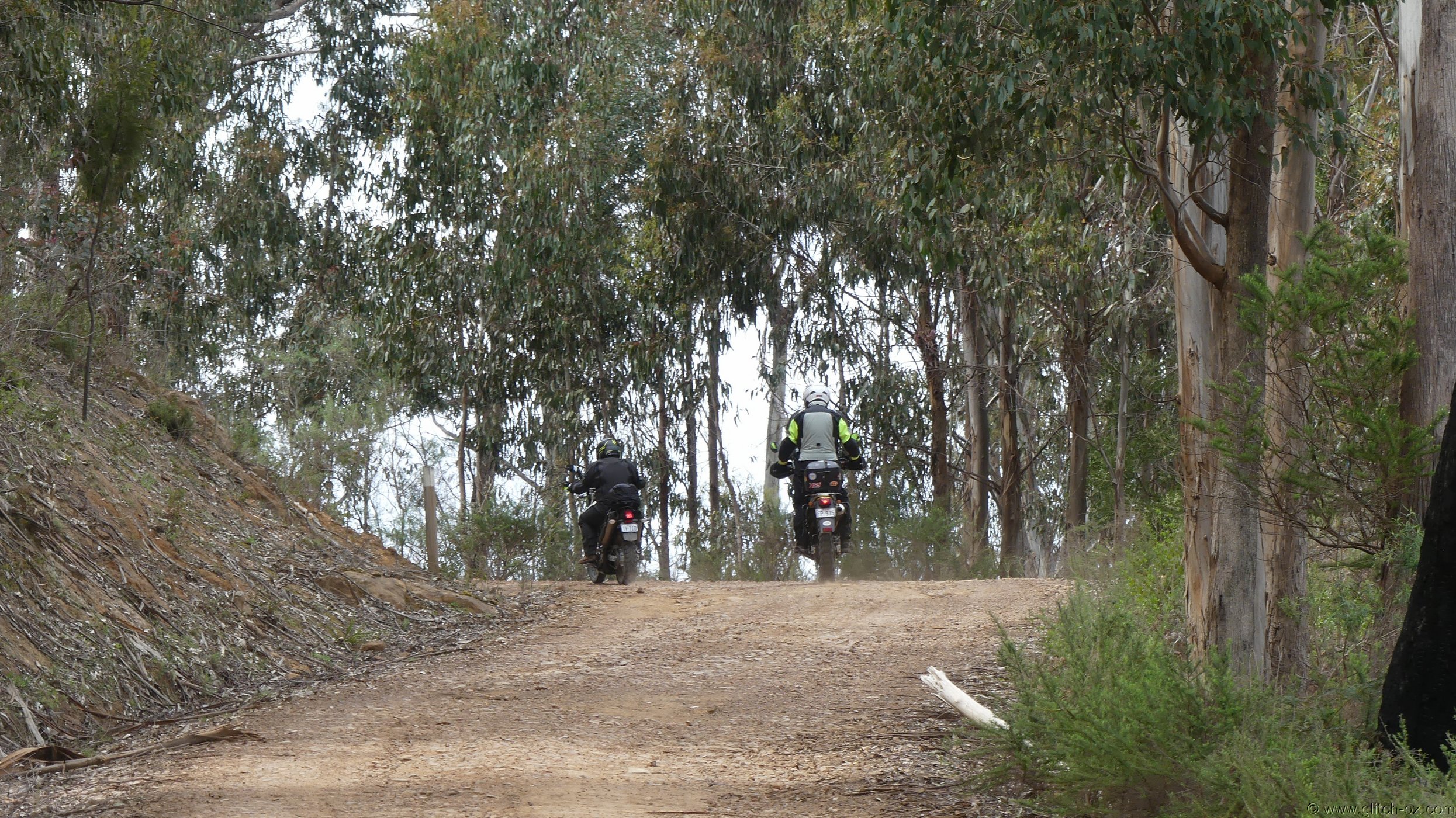 ToolangiNorth_006.JPG