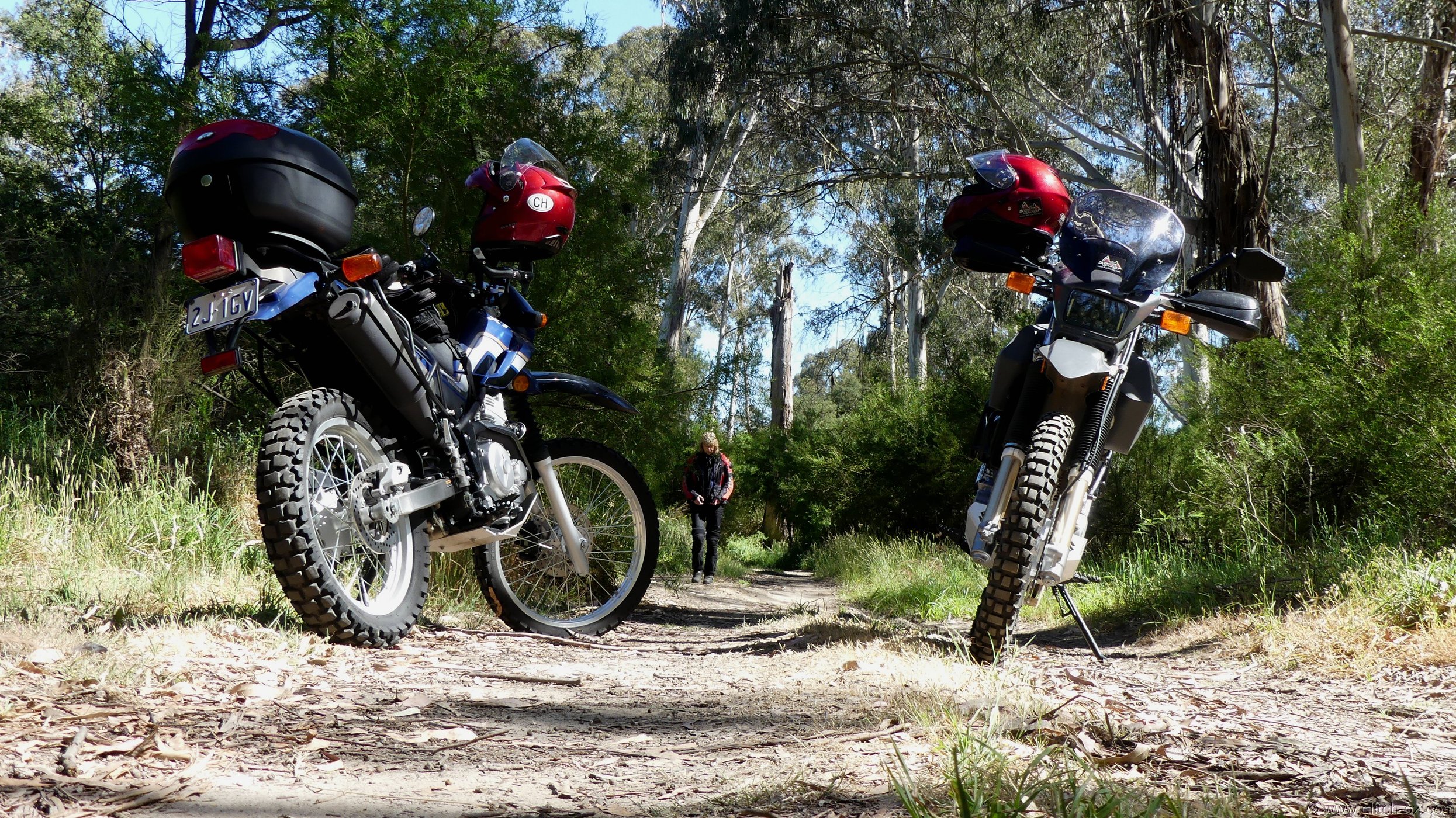 StrathCreek001.JPG