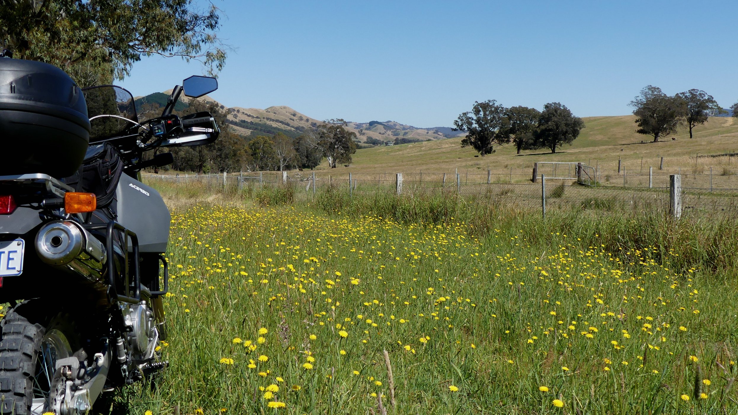 StrathCreek004.JPG