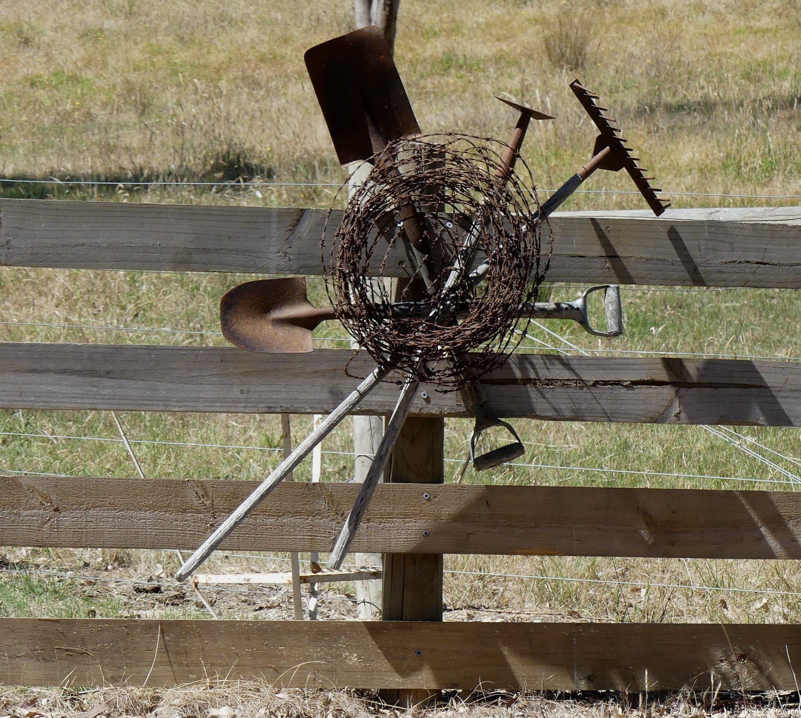 StrathCreek016.JPG
