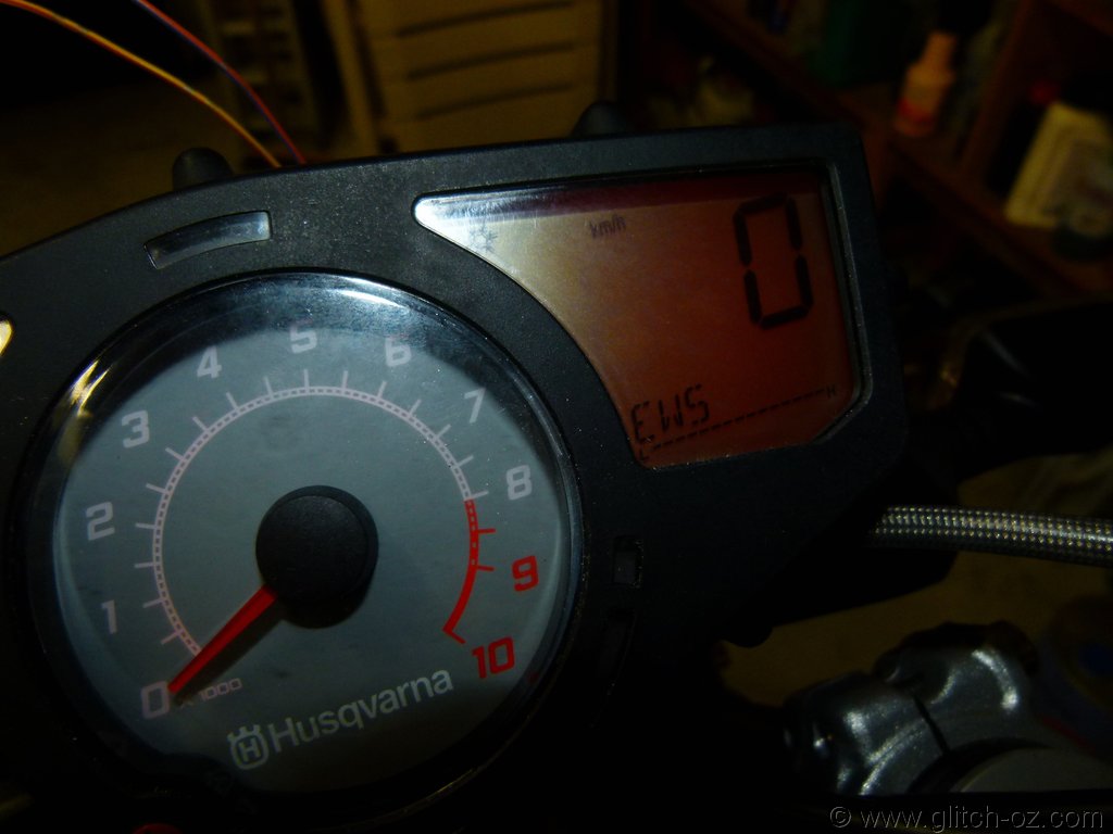 Husky_110.JPG
