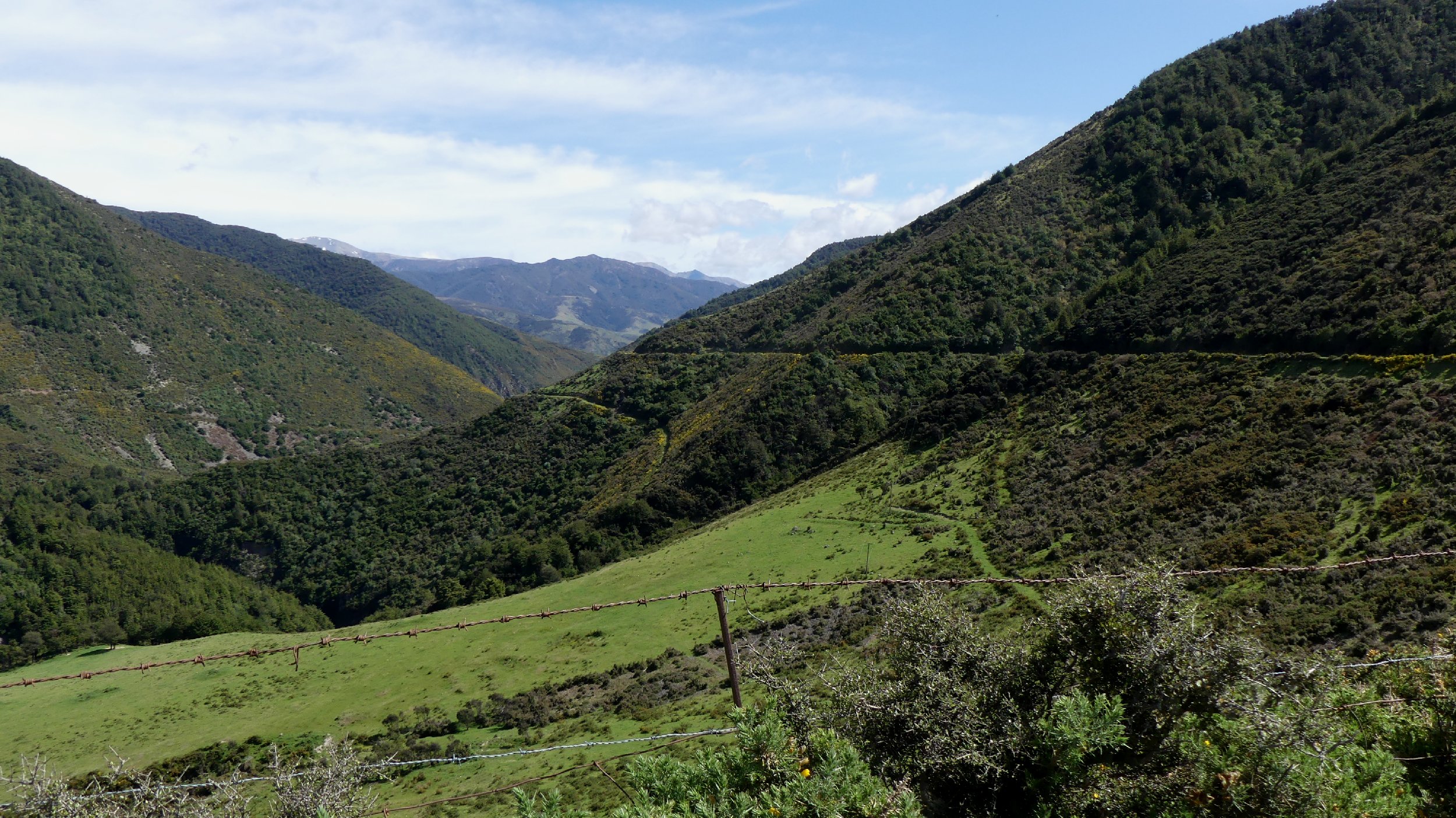 2024_NZ_SI_010.JPG