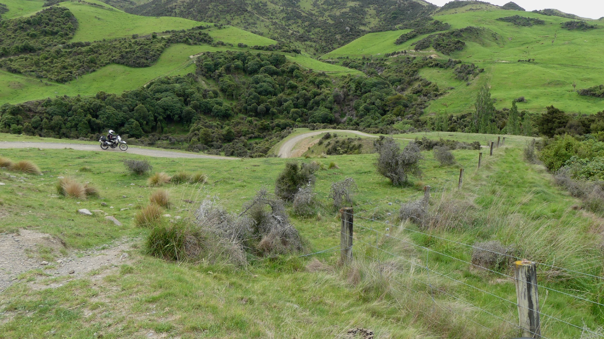 2024_NZ_SI_032.JPG
