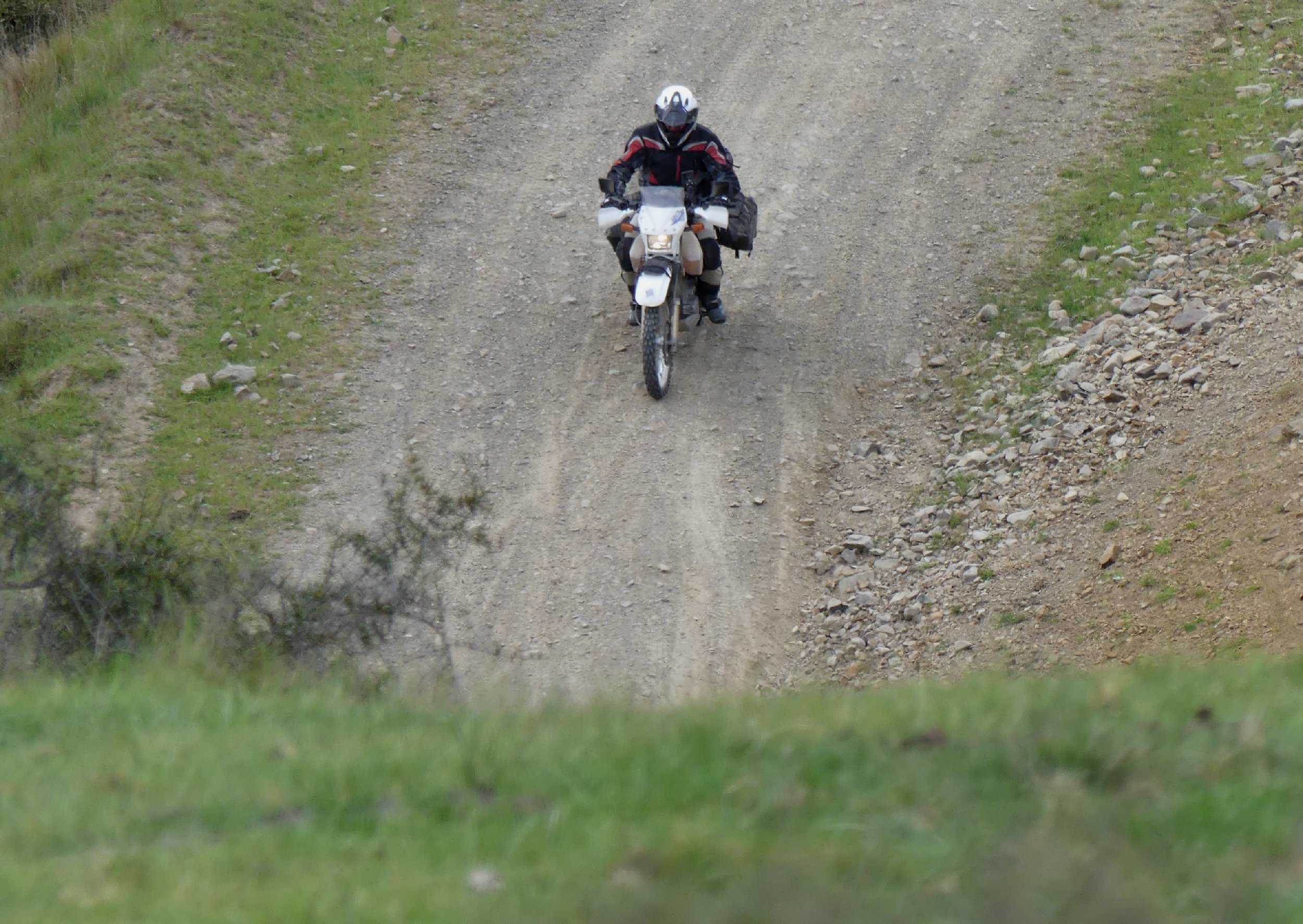 2024_NZ_SI_033.JPG