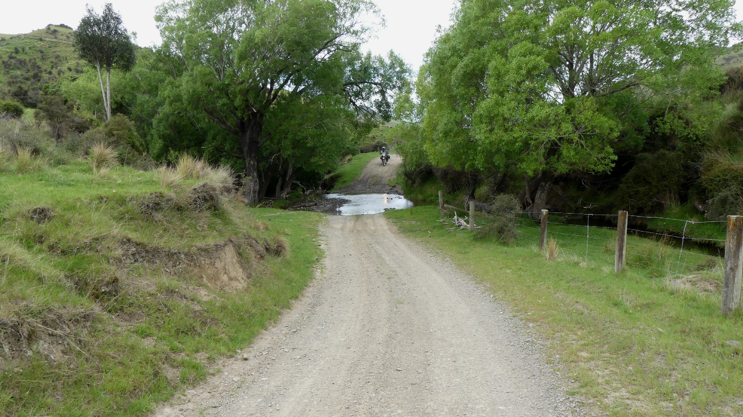 2024_NZ_SI_034.JPG