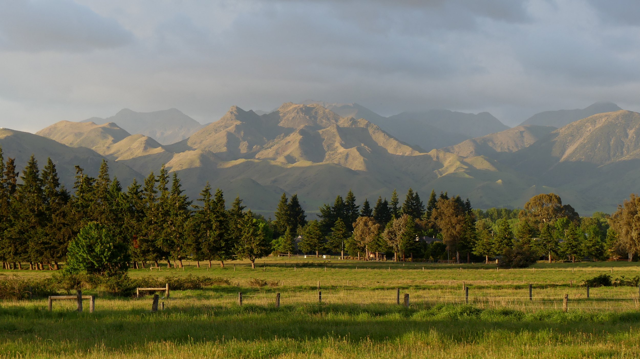 2024_NZ_SI_046.JPG
