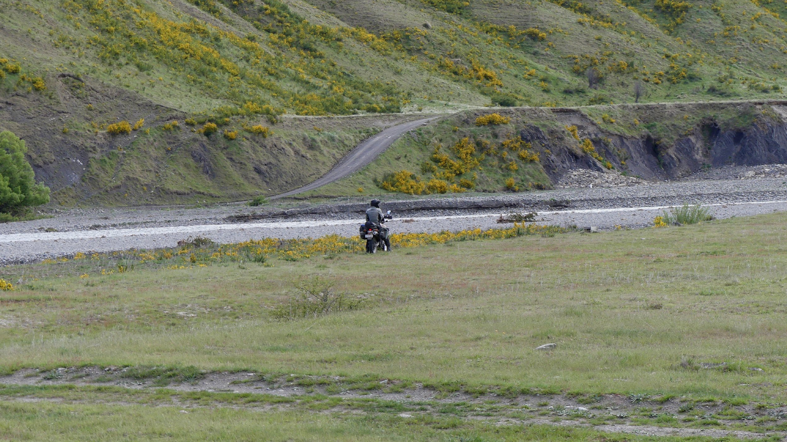 2024_NZ_SI_048.JPG