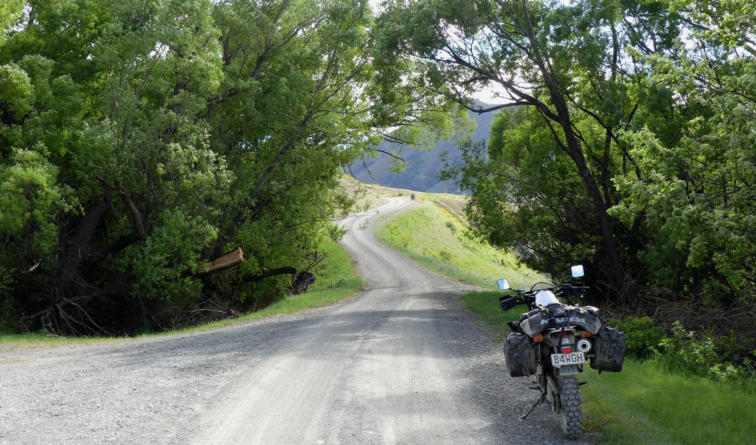 2024_NZ_SI_055.JPG