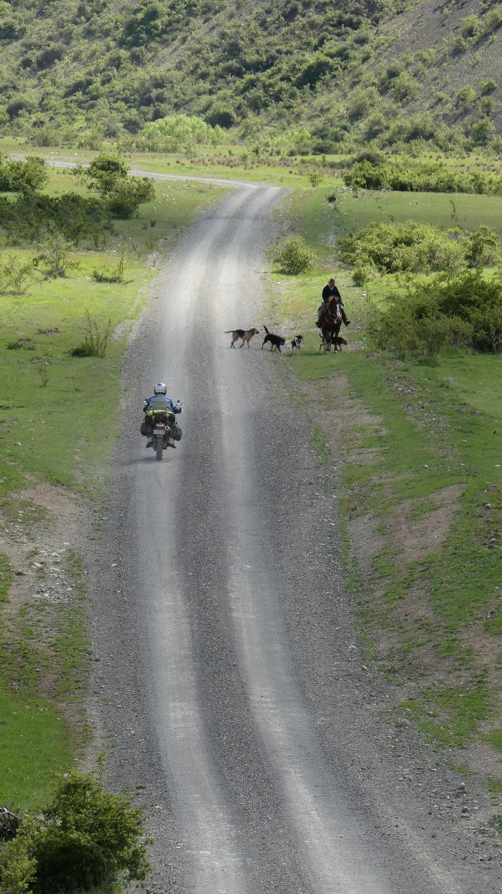 2024_NZ_SI_059.JPG