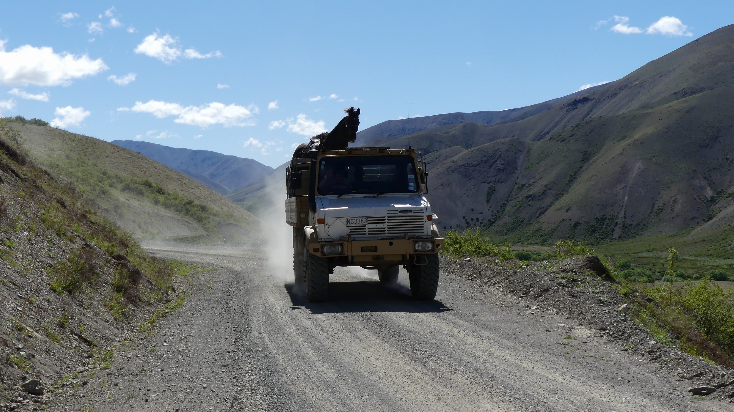 2024_NZ_SI_066.JPG