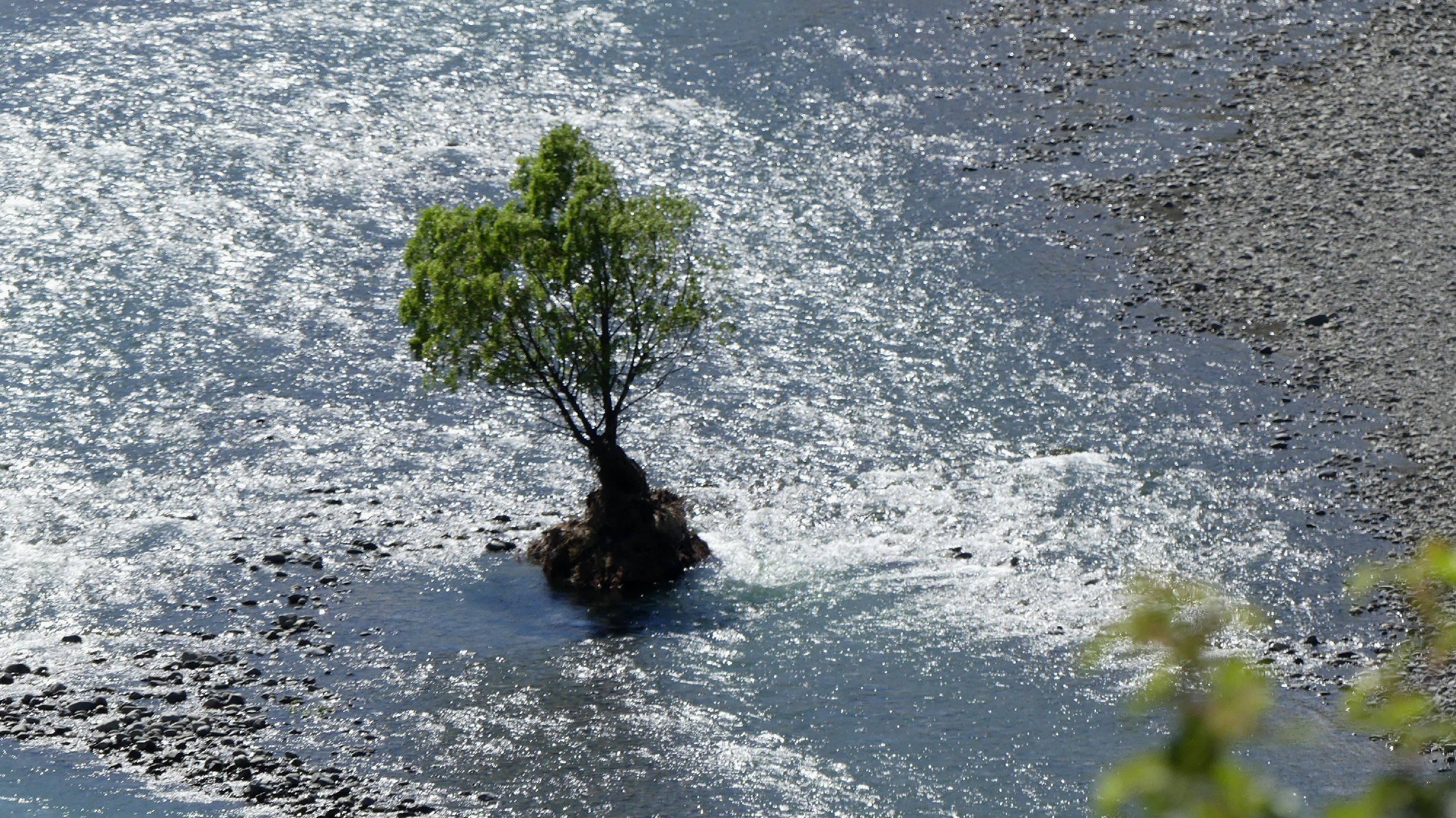 2024_NZ_SI_068.JPG