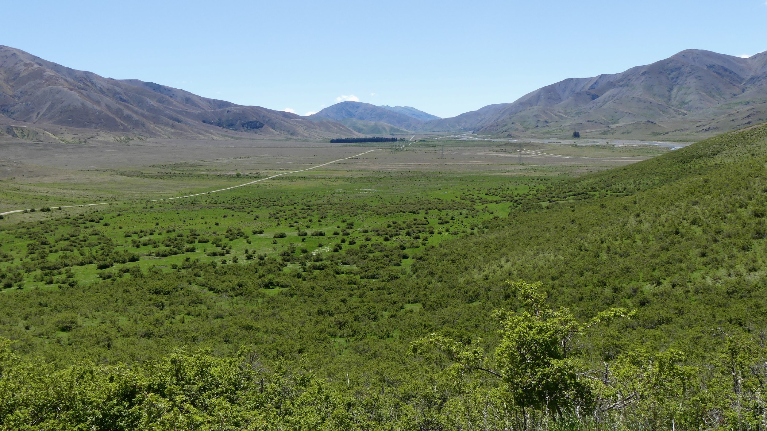 2024_NZ_SI_071.JPG