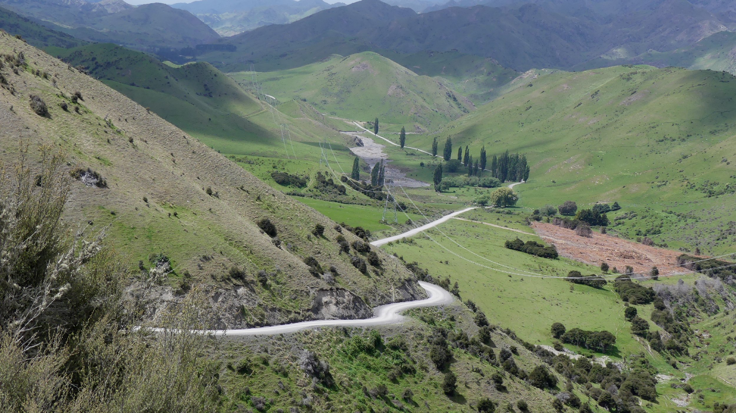 2024_NZ_SI_085.JPG