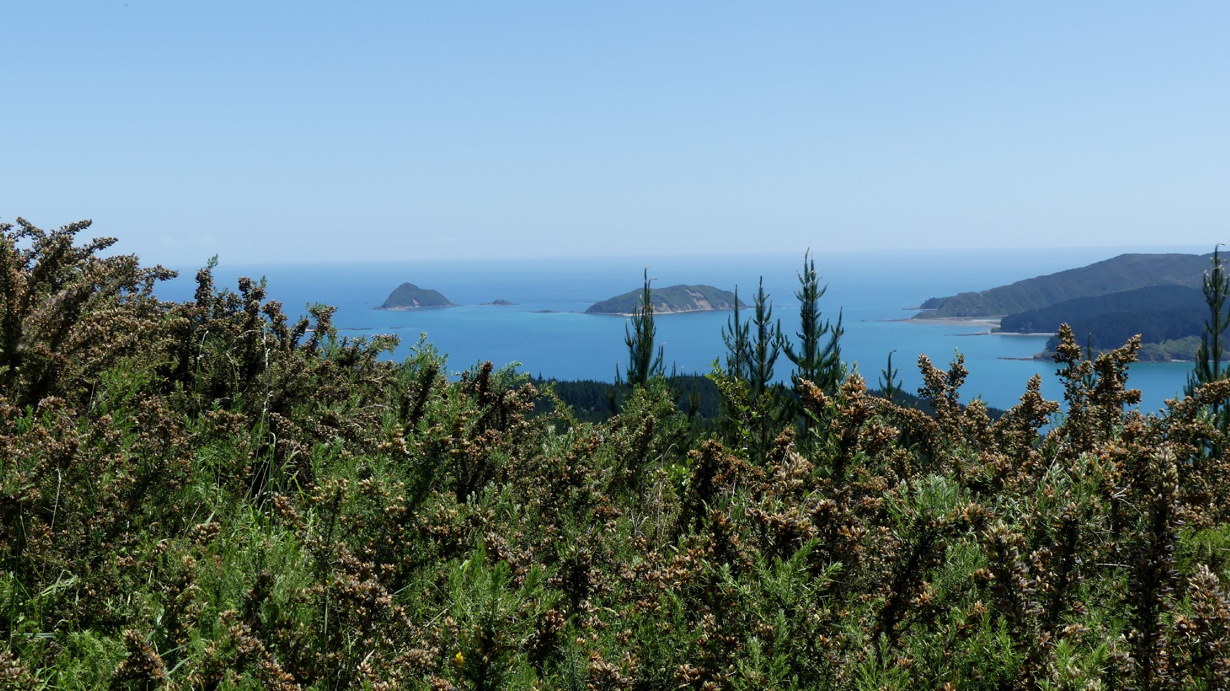 2024_NZ_SI_093.JPG