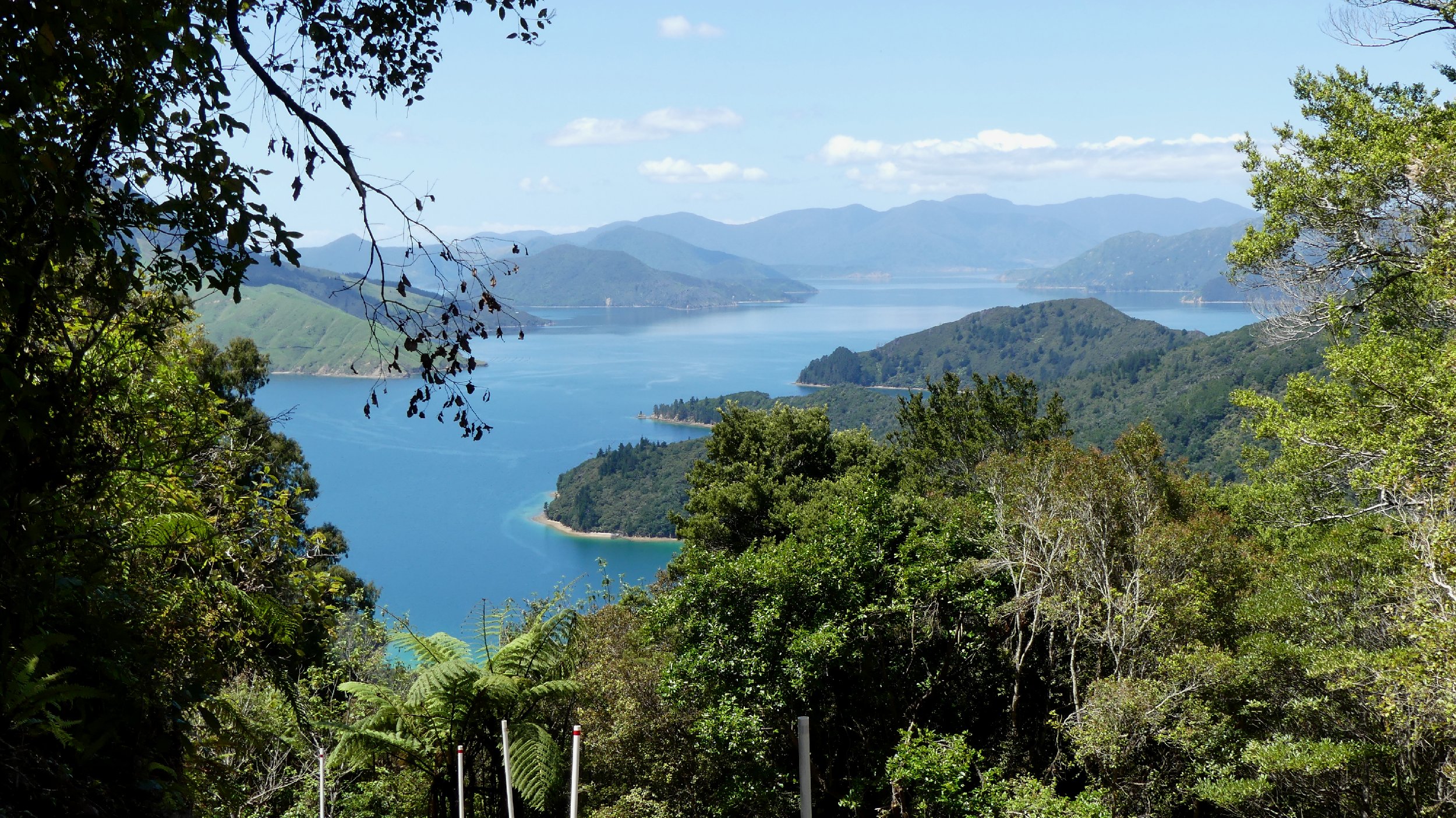 2024_NZ_SI_101.JPG