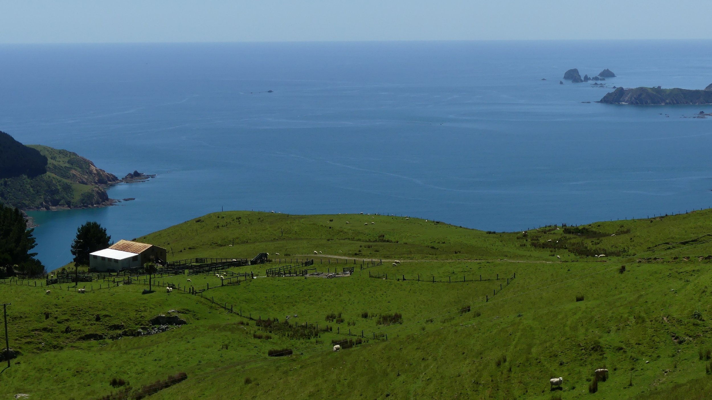 2024_NZ_SI_105.JPG