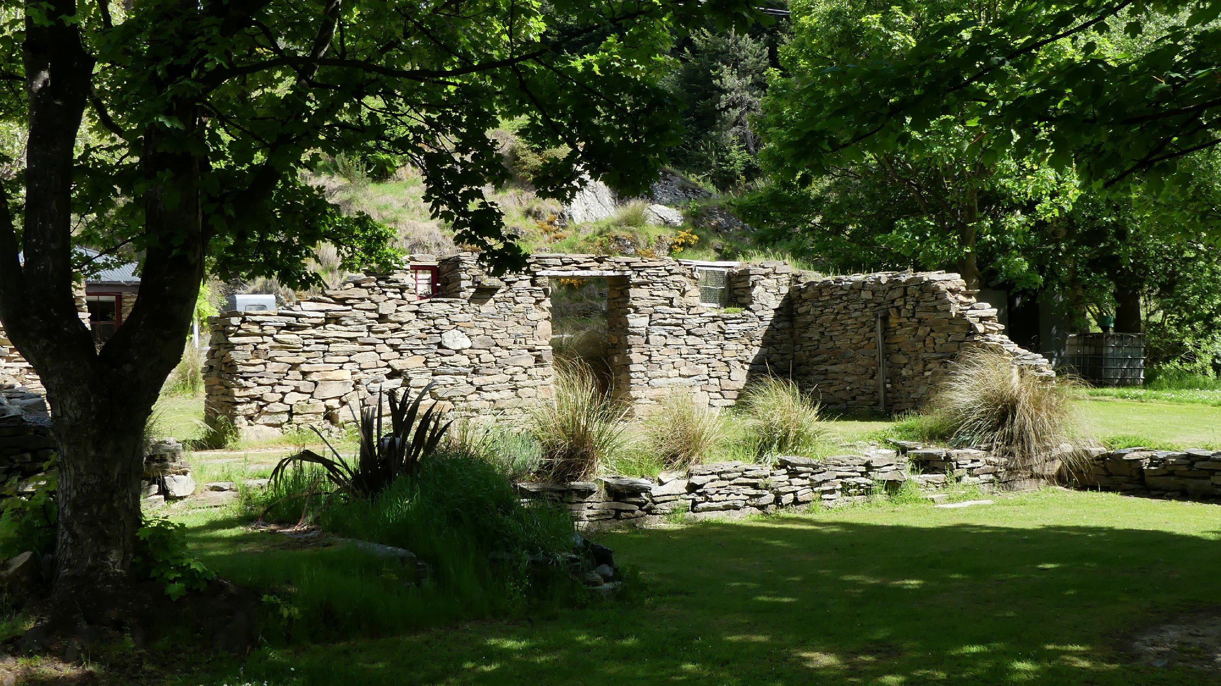 2024_NZ_SI_264.JPG