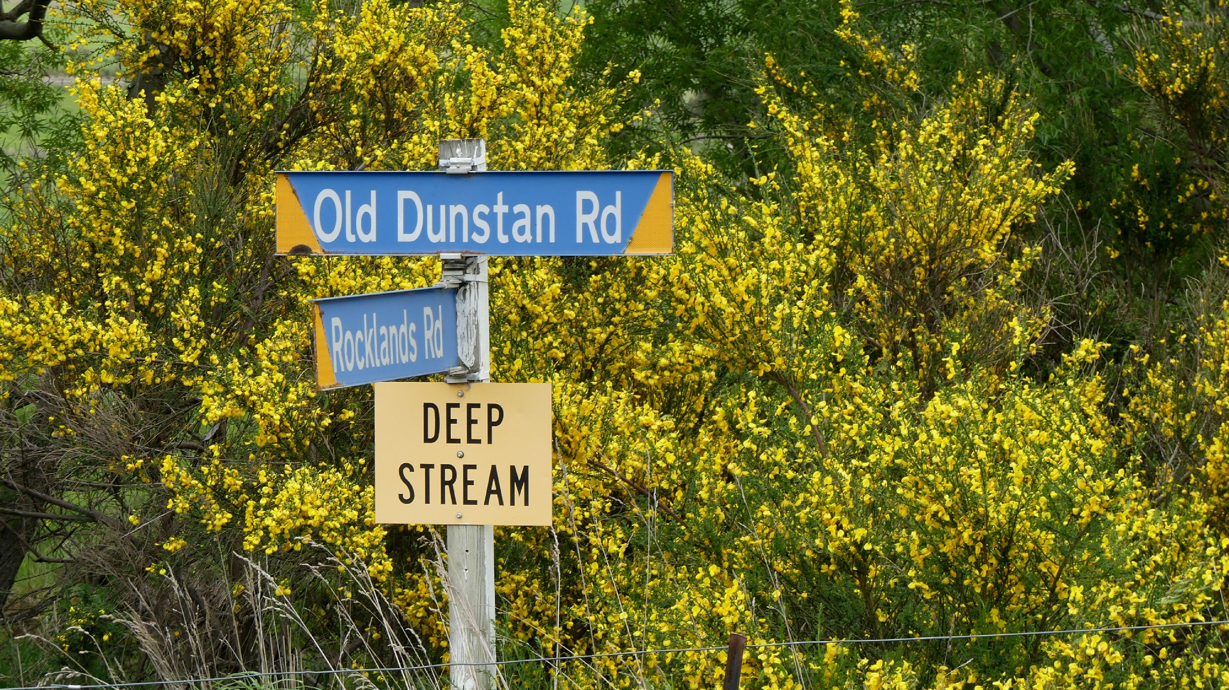 2024_NZ_SI_265.JPG